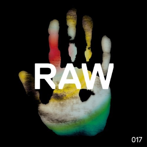 The Southern - Raw 017 (2016)