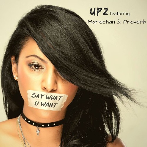 UPZ - Say What U Want (2016)