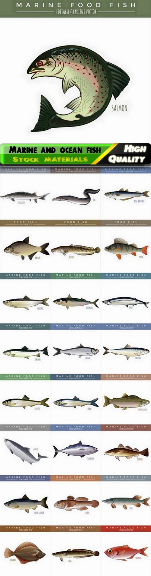 Set of different marine and ocean kind of fish 25 Eps