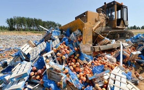 В России уничтожили девять тысяч тонн продуктов