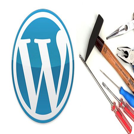     Wordpress (2016) WEBRip