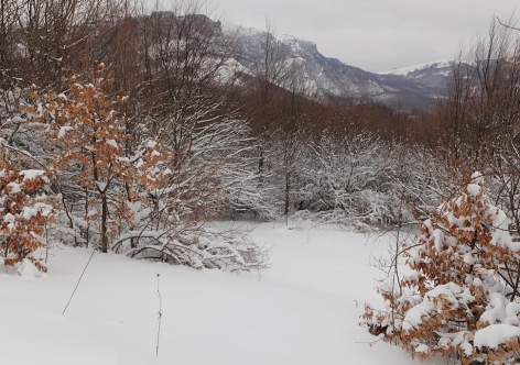 На "снежном" отдыхе в горах травмированы шестеро крымчан