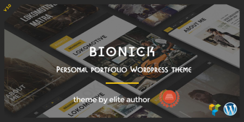 Nulled Bionick v3.0 - Personal Portfolio WordPress Theme download