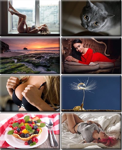 LIFEstyle News MiXture Images. Wallpapers Part (1219)